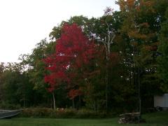 Wednesday October 03, 2007 06:54 - COUPLE DAYS AT MORRIS'S COTTAGE IN OCTOBER 021.jpg